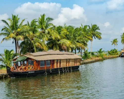 abhishek-prasad-ayFW56Rz5Cs-unsplash (1)