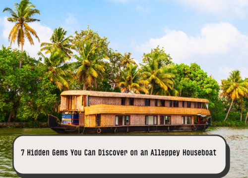 7 Hidden Gems You Can Discover on an Alleppey Houseboat