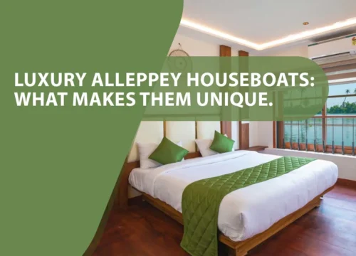 Luxury Alleppey Houseboats: What Makes Them Unique