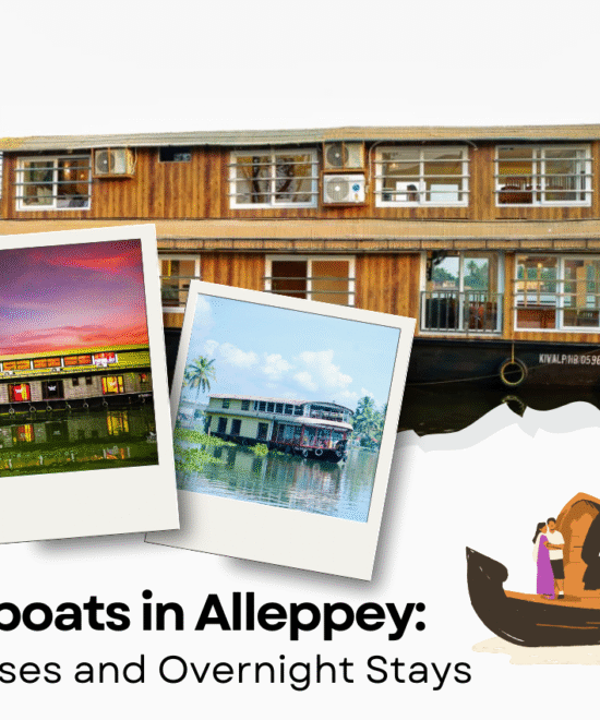 Houseboats in Alleppey: Everything to Know About Day Cruises and Overnight Stays