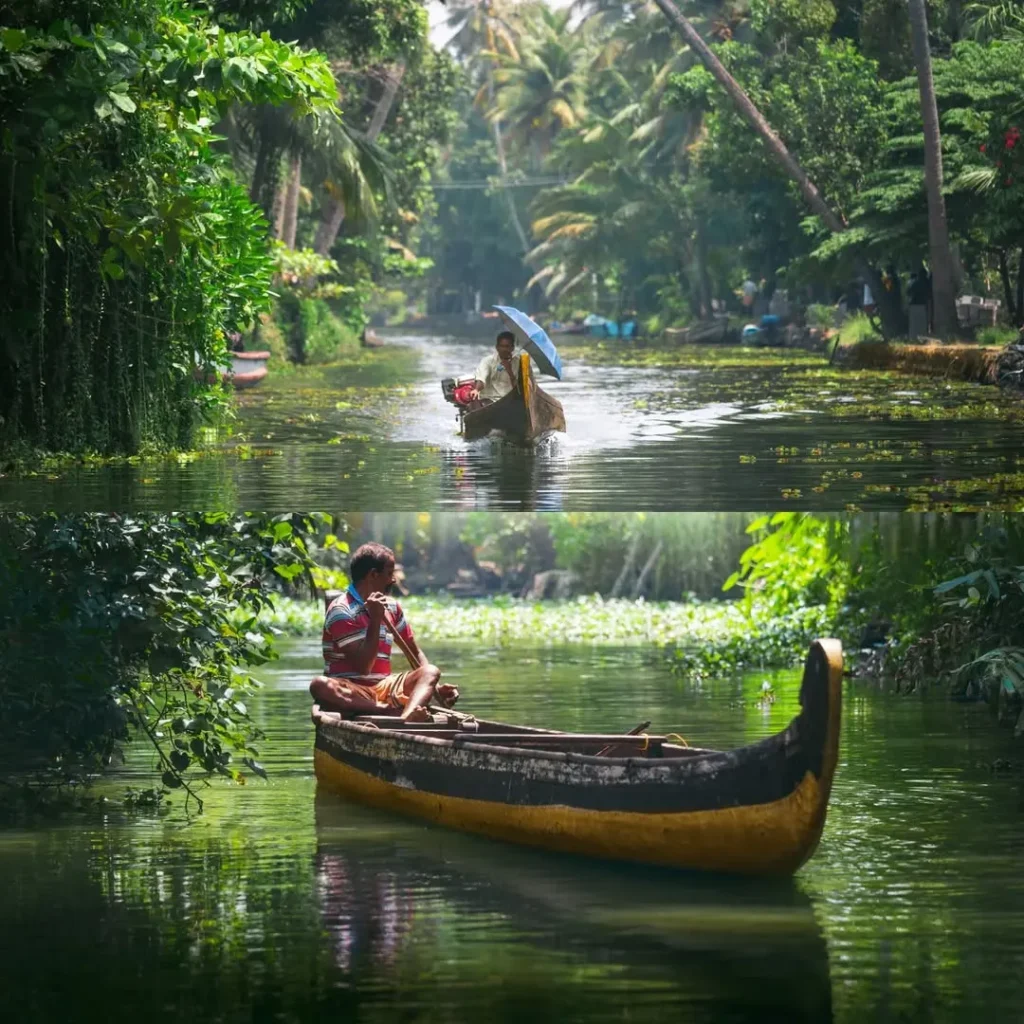Daytime Canoe Cruise